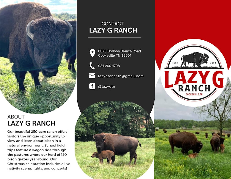 Lazy G Ranch