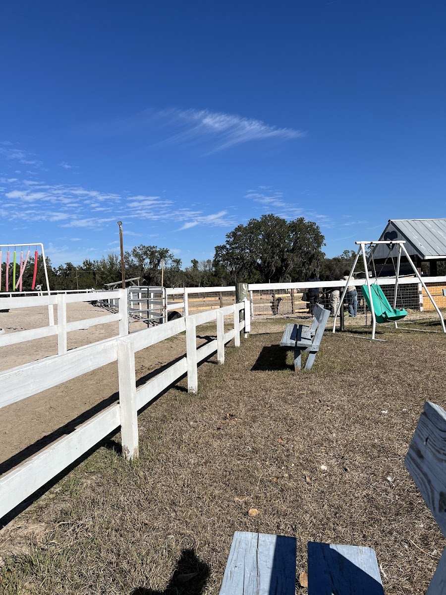 LifeGlow Organic Farm photo 2