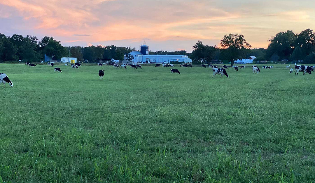 Happy Cow Creamery, Inc. photo 18