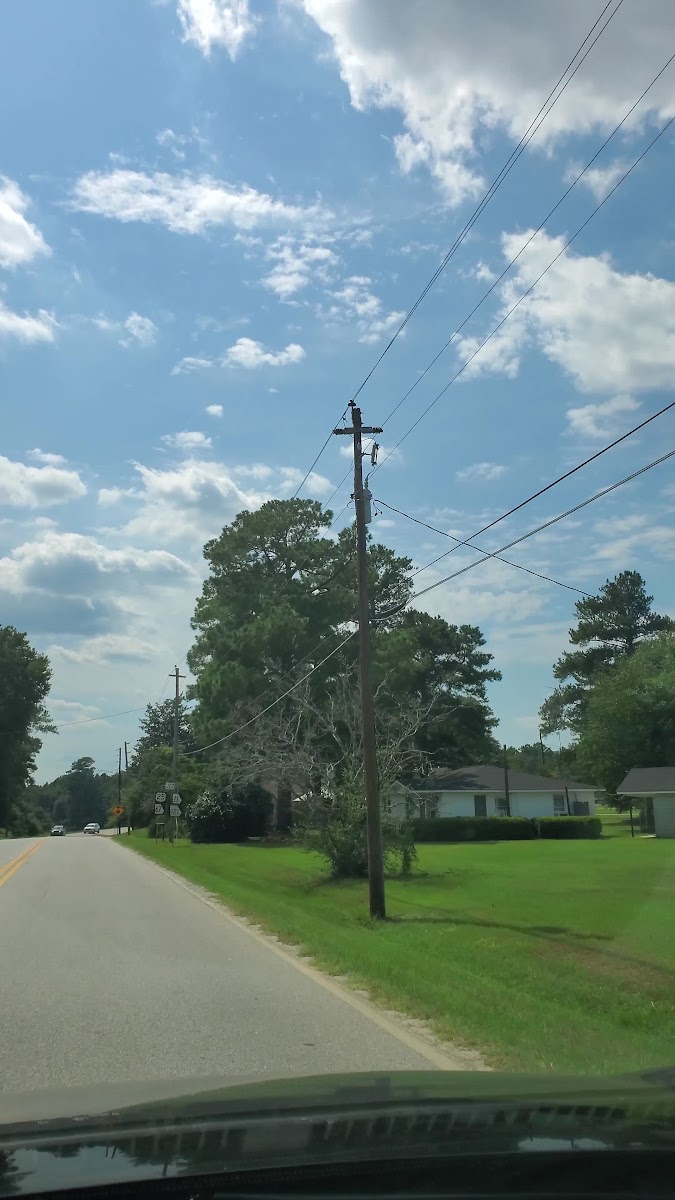 Millen Produce Market