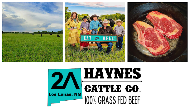haynes cattle company new mexico