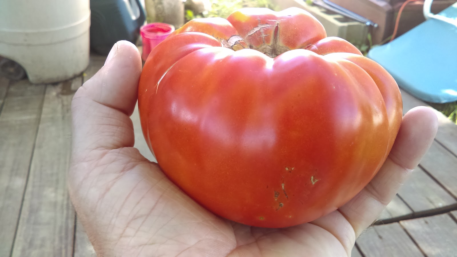 San Francisco Farmers' Market at Crocker Galleria photo 3