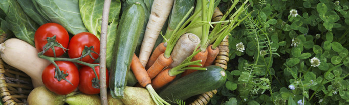 B & L Produce Farm photo 2