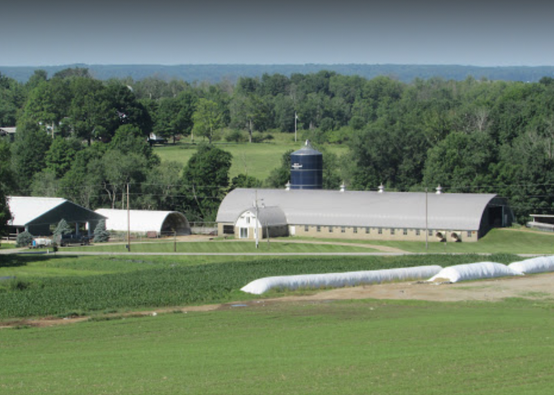 Pot O Gold Dairy photo 2
