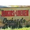 Jenkins - Lueken Orchards
