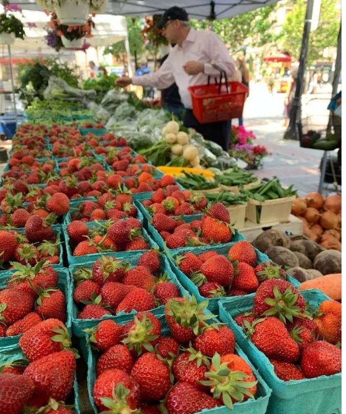 Stillman Farm Stand photo 4
