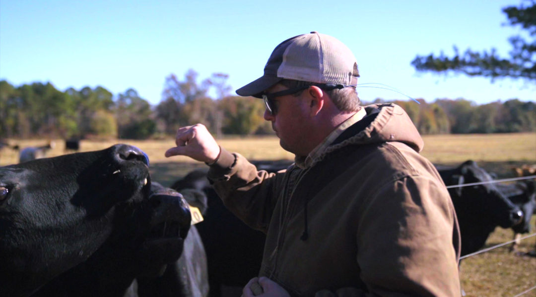 Bronwood Beef, LLC photo 17