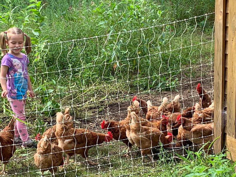 The Herb Hill Farm/Microdairy