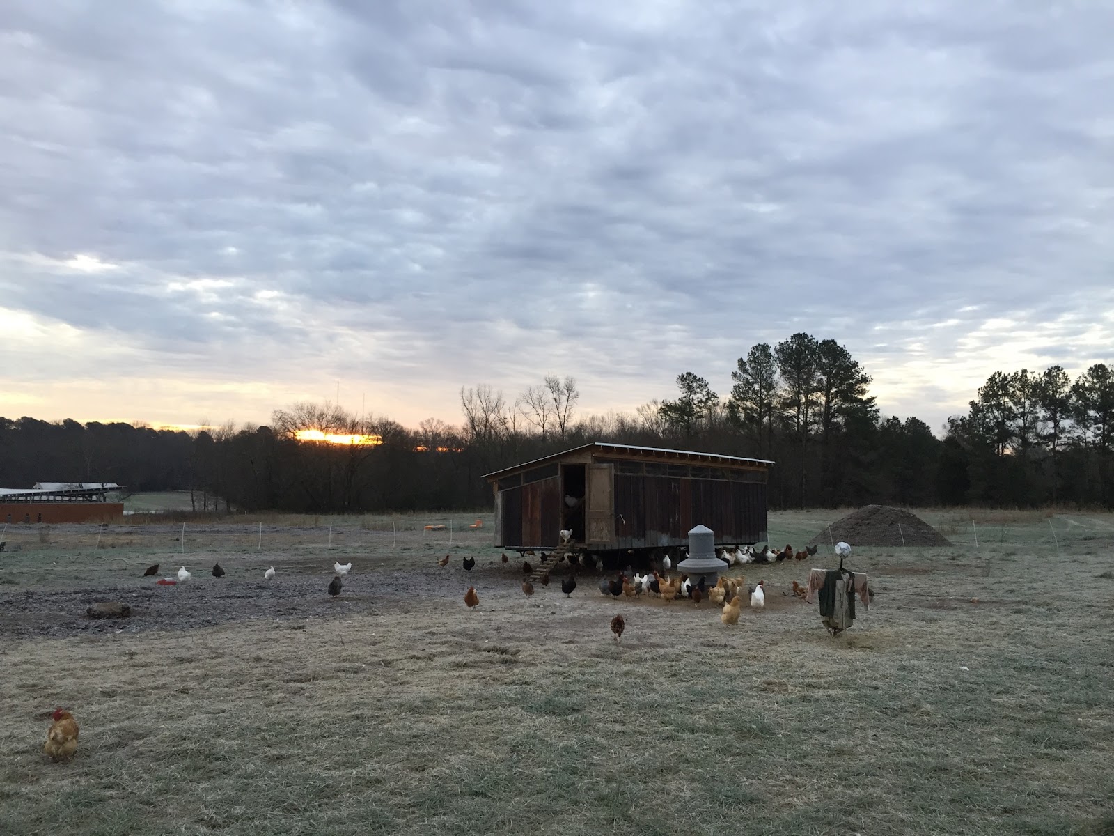 Funny Girl Farm