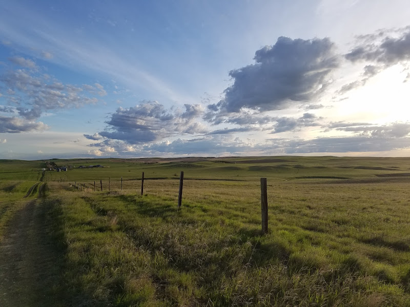 Cattlemen's Standard