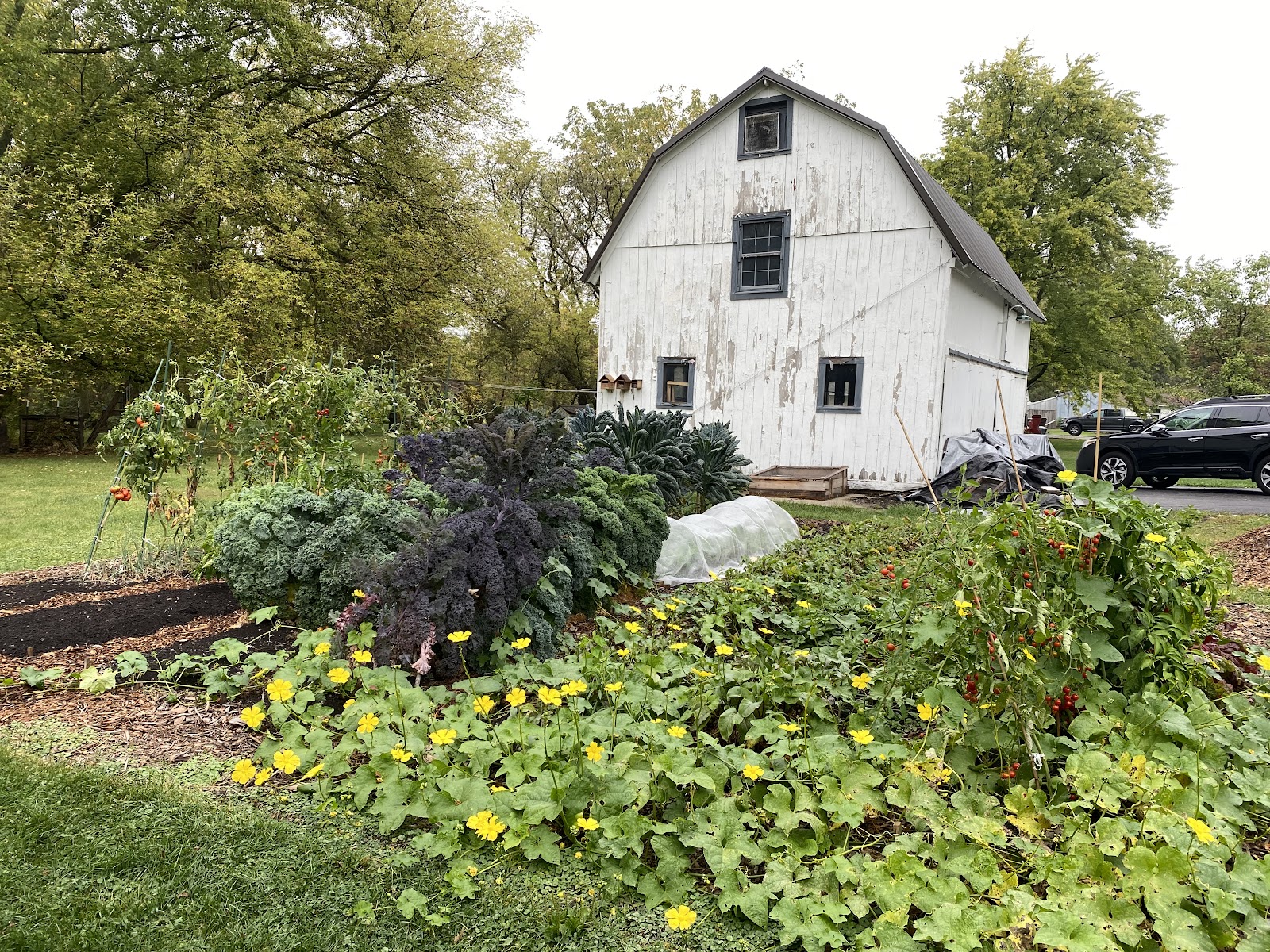 Bramblewood Farm photo 3