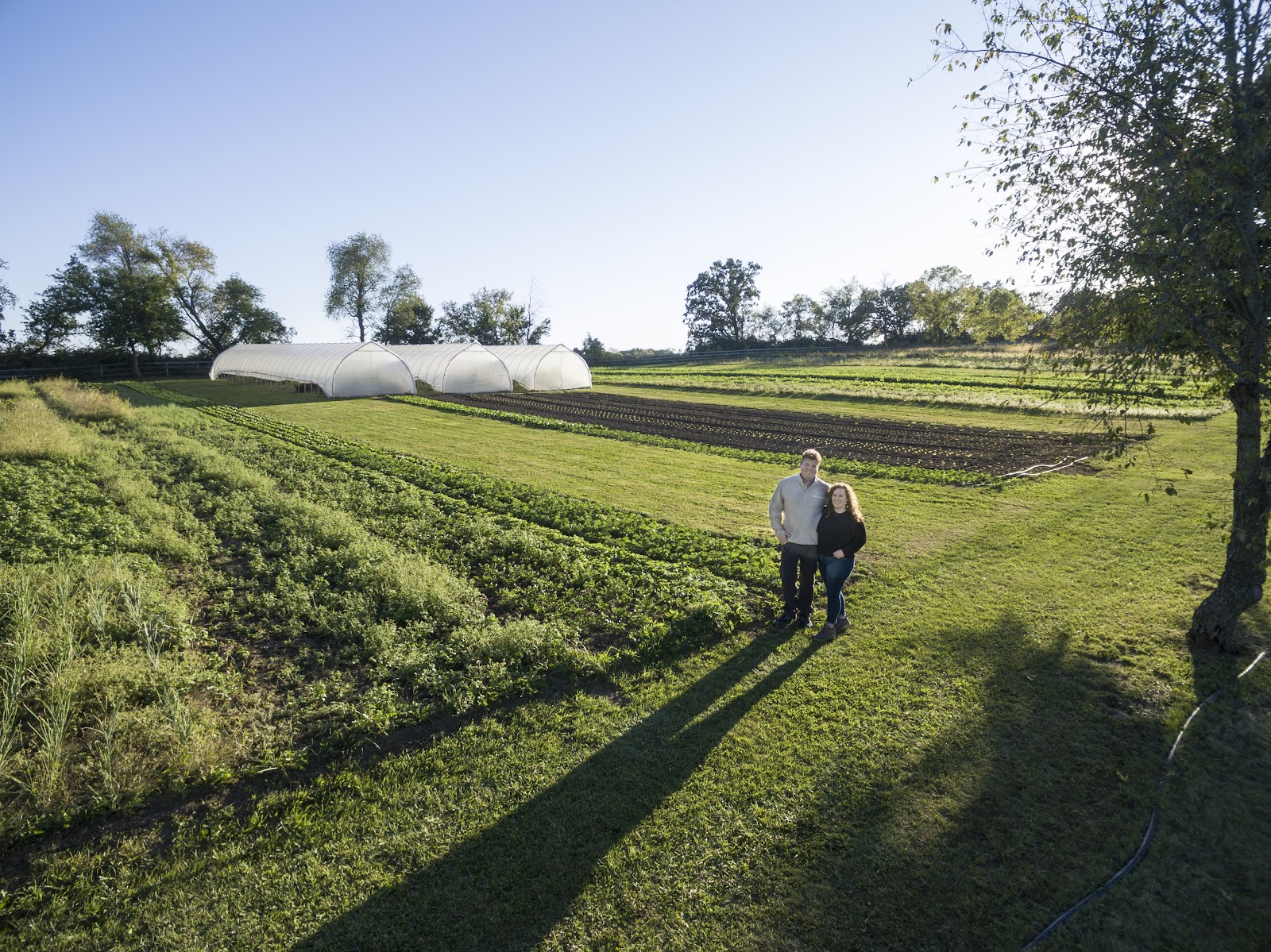Bramblewood Farm photo 4