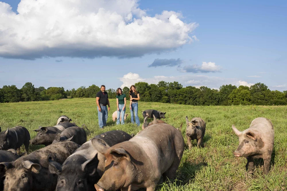 Sullivan Farms