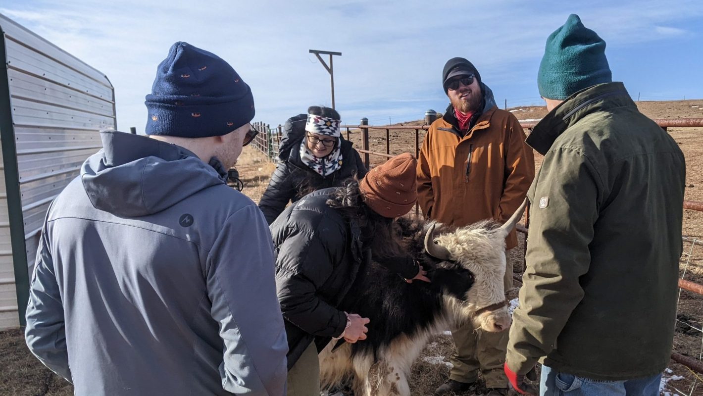 Serendipity Farmstead