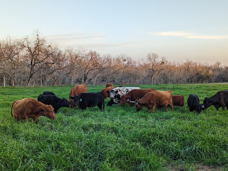 Rusty Star Ranch at The Domain Farmers Market