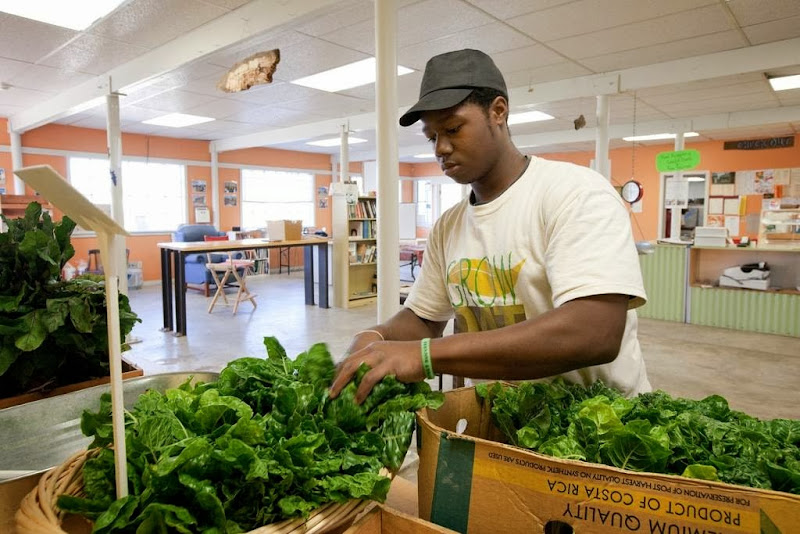 Grow Dat Youth Farm photo 2