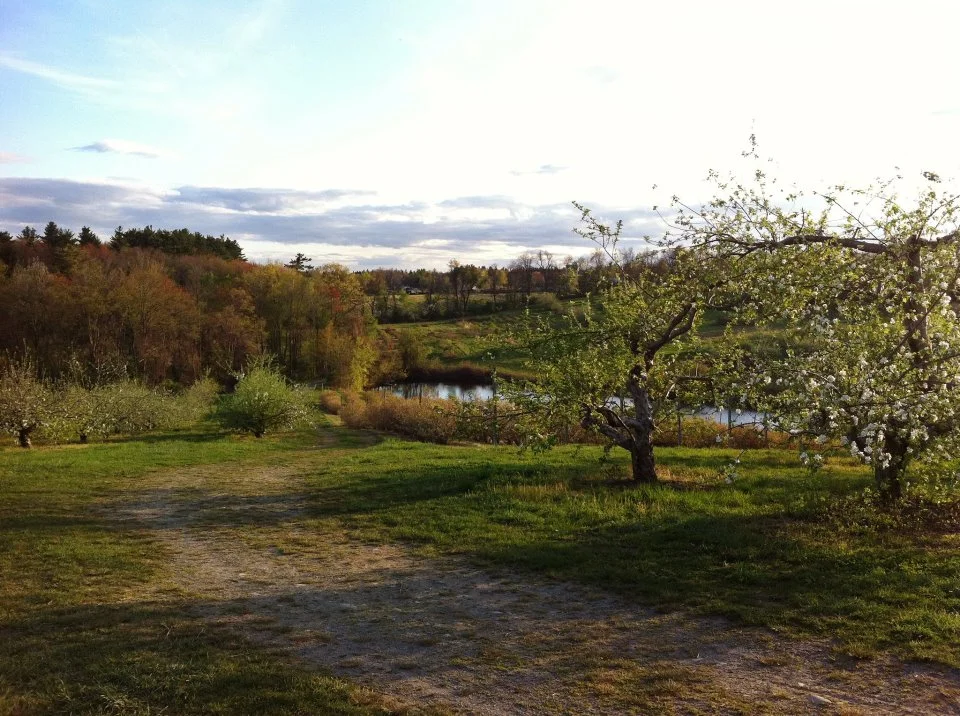 George Hill Orchards