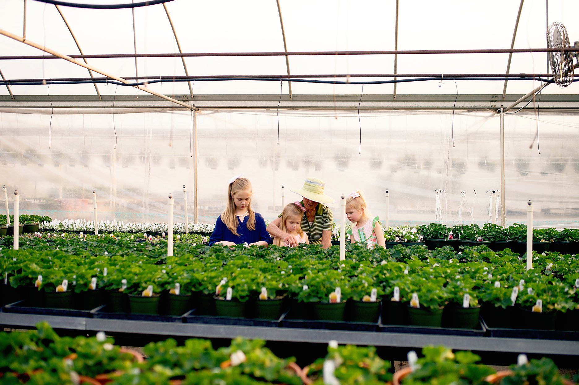 Fairview Greenhouses & Garden Center, Inc.