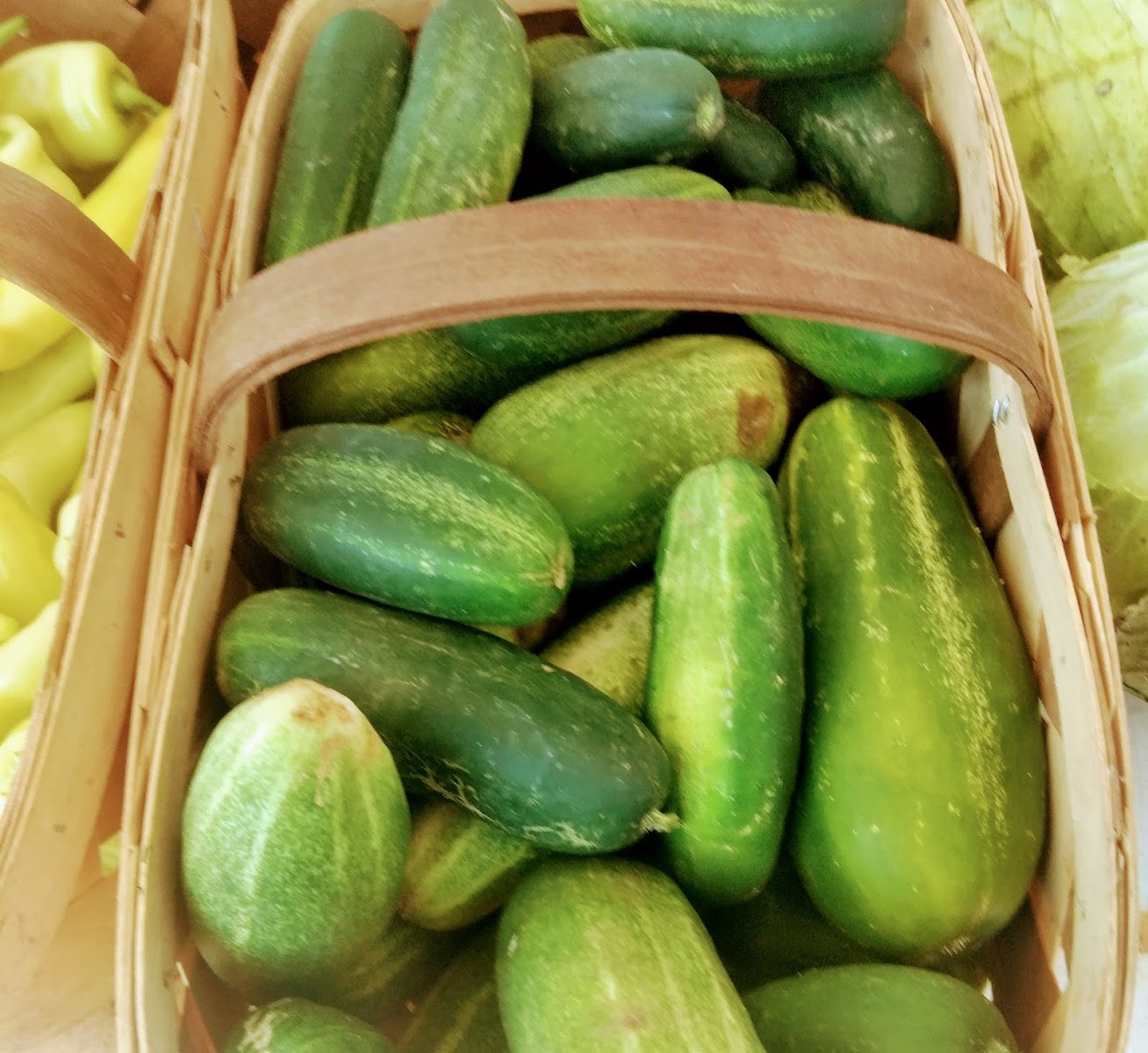 Powell County Farmers Market