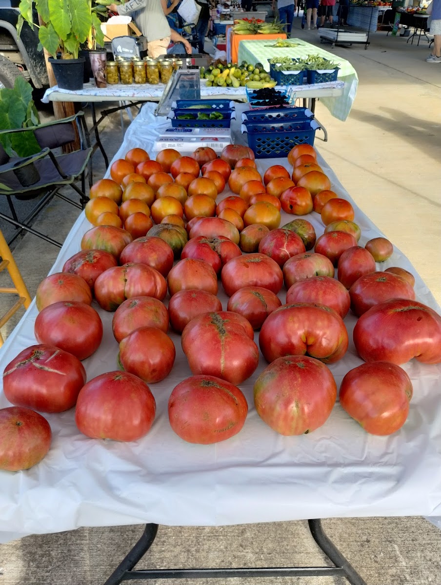 Coffee County Farmers Market photo 2