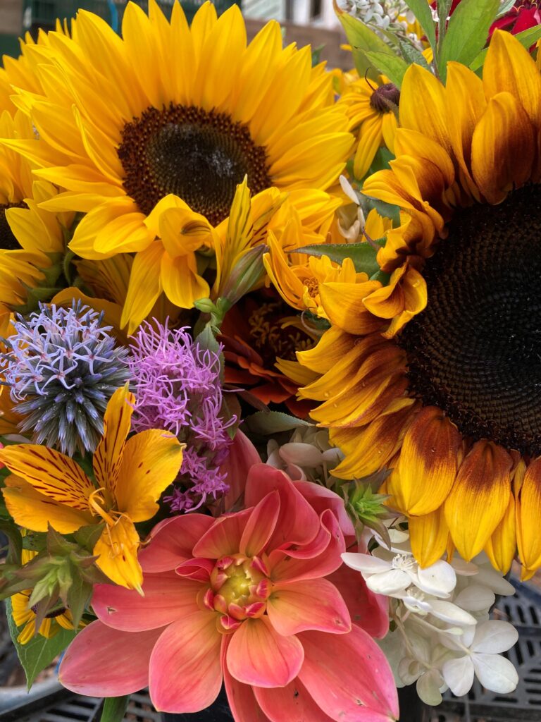 Oneonta Farmers Market (Saturday)