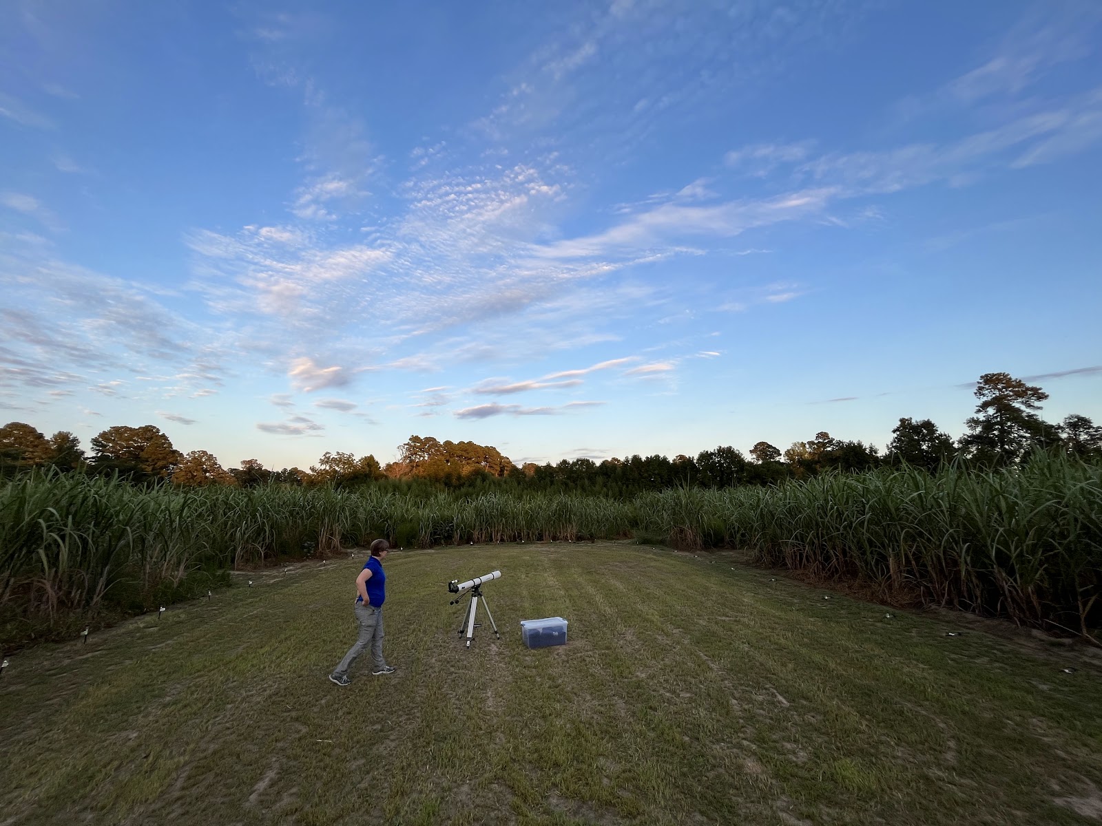 Country Corners Farm