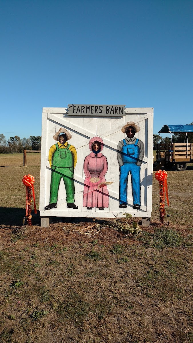 Country Corners Farm photo 2