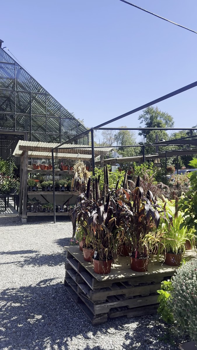 Gossett's Farmer's Market photo 3