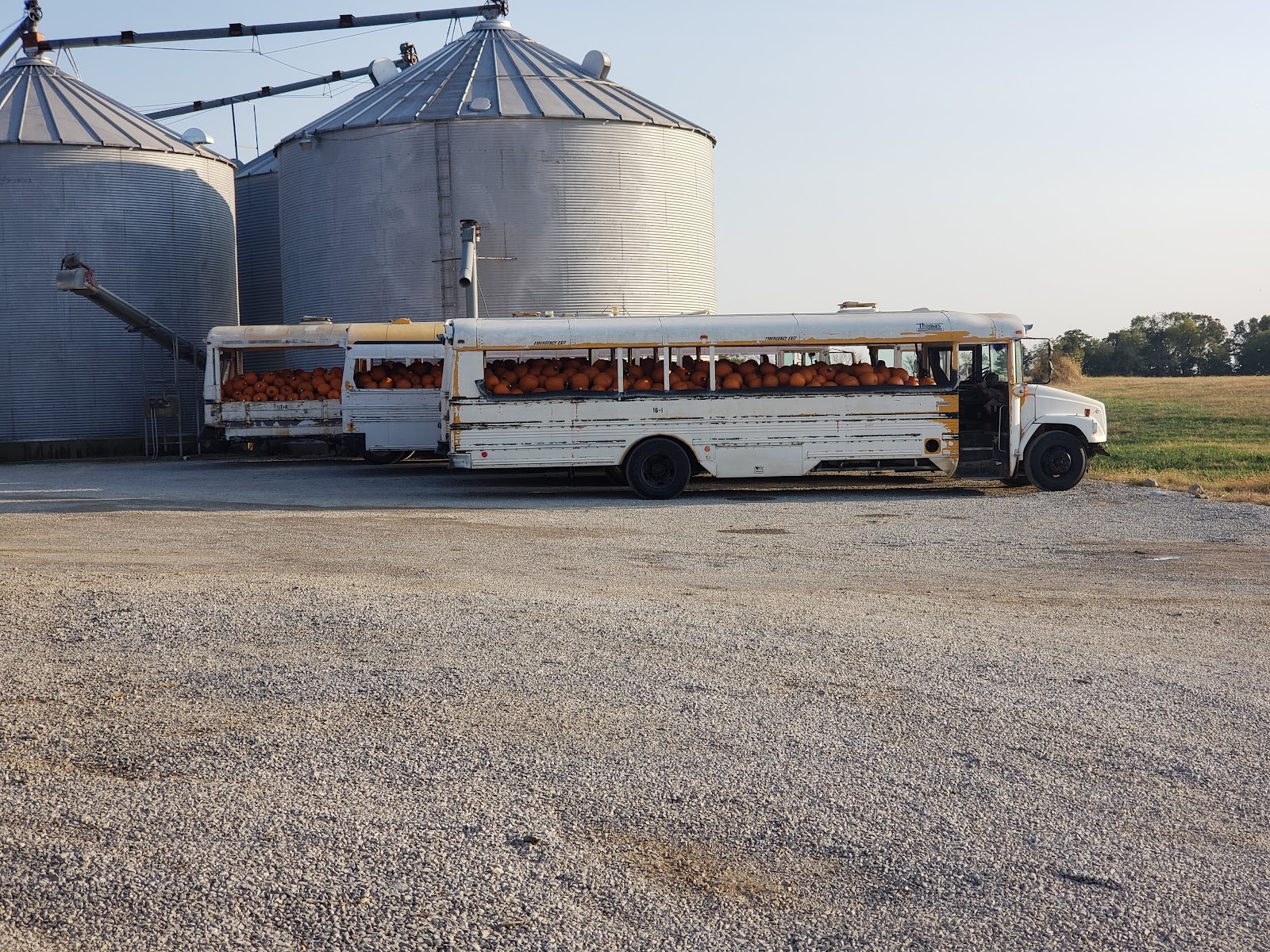 Blackberry Hollow Farm