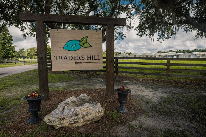 Traders Hill Farm photo 4