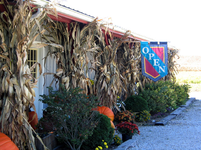Thierbach Orchards & Berry Farm photo 3