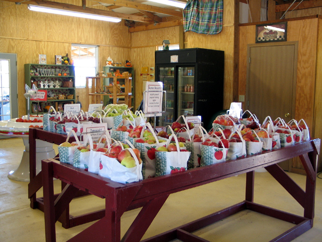 Thierbach Orchards & Berry Farm photo 5