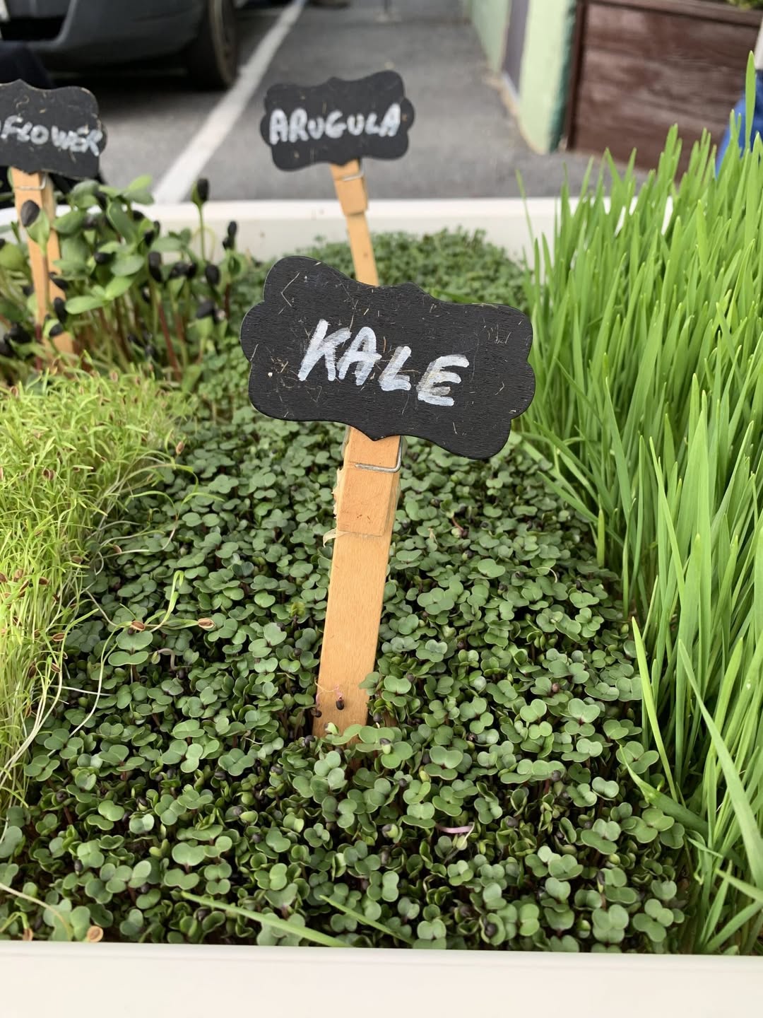 Gaithersburg Fulks Corner Farmers Market