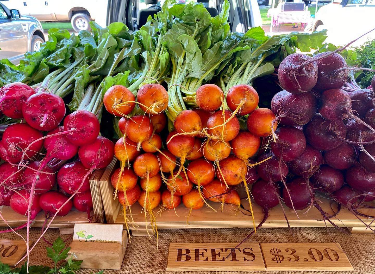 Deerfield Farmers' Market photo 3