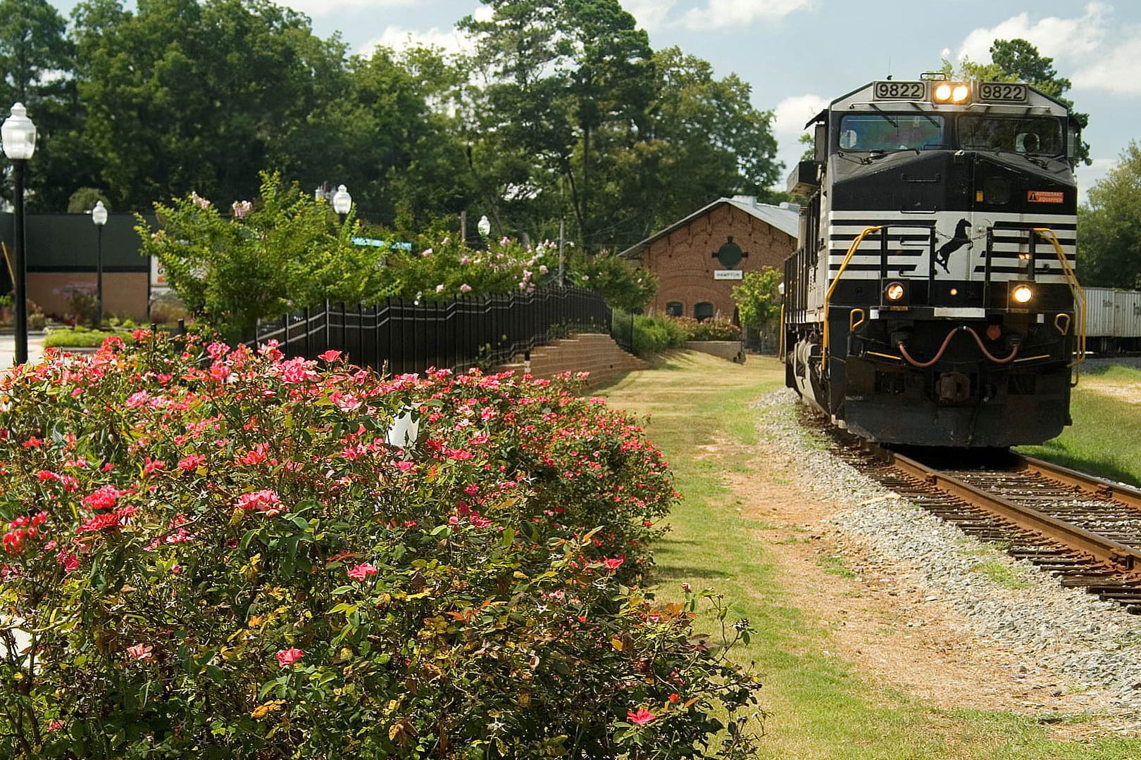 Rail and Roots Farmers Market, Hampton GA! photo 2