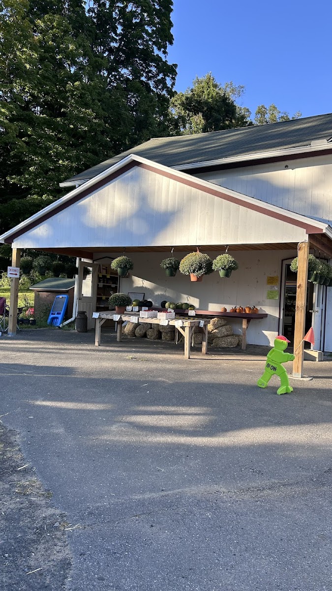 Bristol Farmers Market photo 3