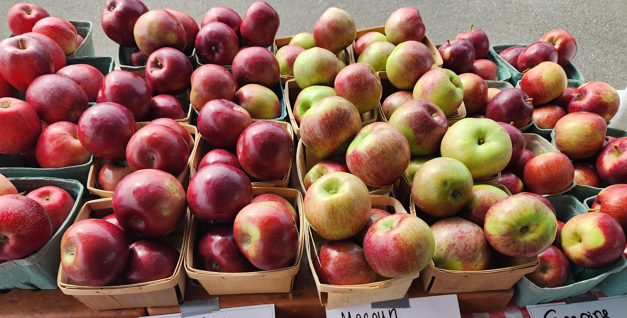 Bristol Farmers Market
