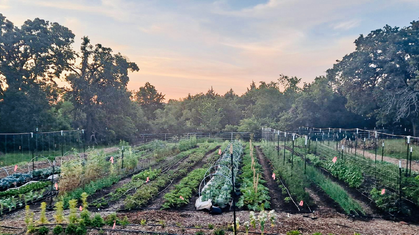 Cityside.Farm