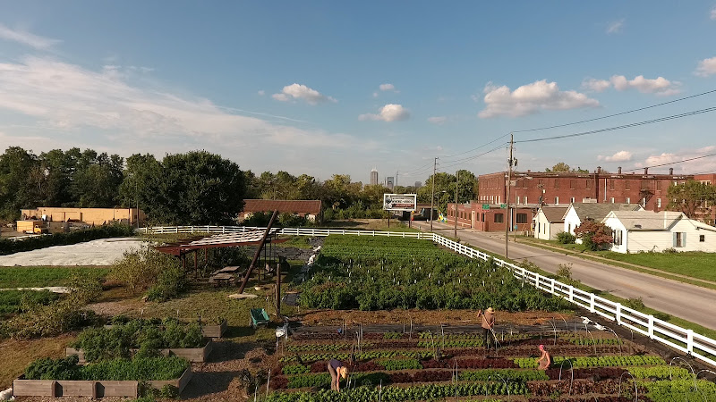 South Circle Farm - Mad Farmers Collective