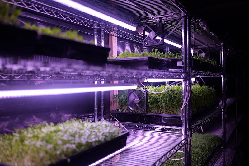Microgreens World photo 2
