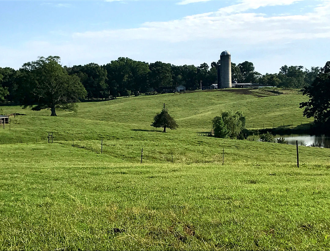 Sykes Family Farm photo 6