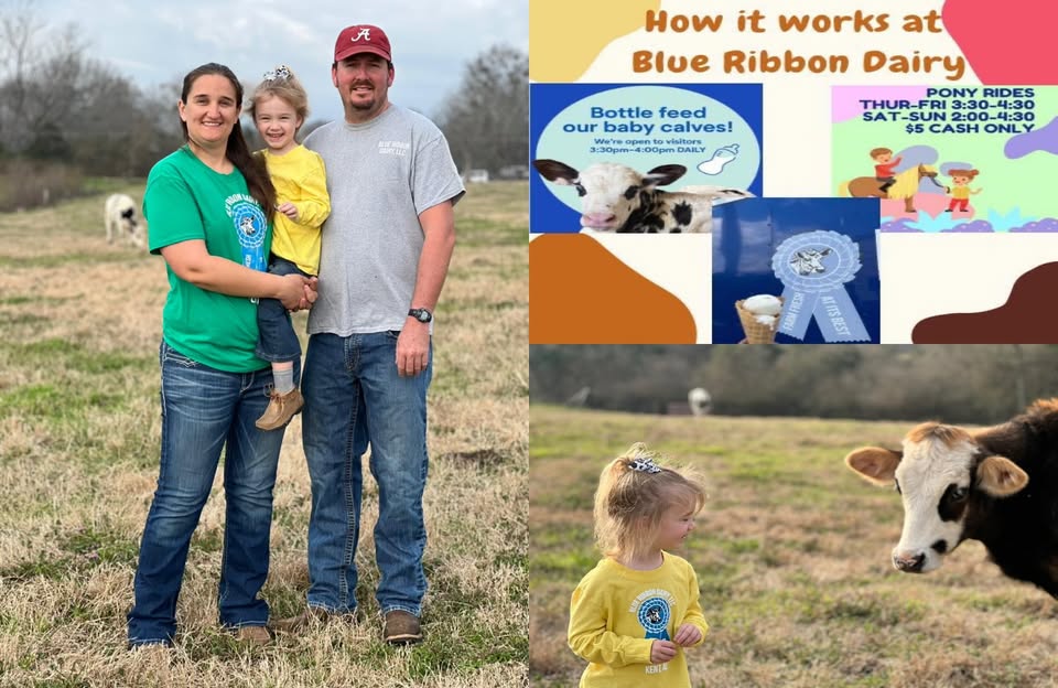 Blue Ribbon Dairy, Llc photo 2
