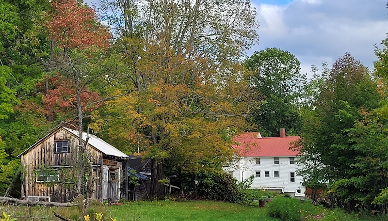 Grass Fed - Grain Finished