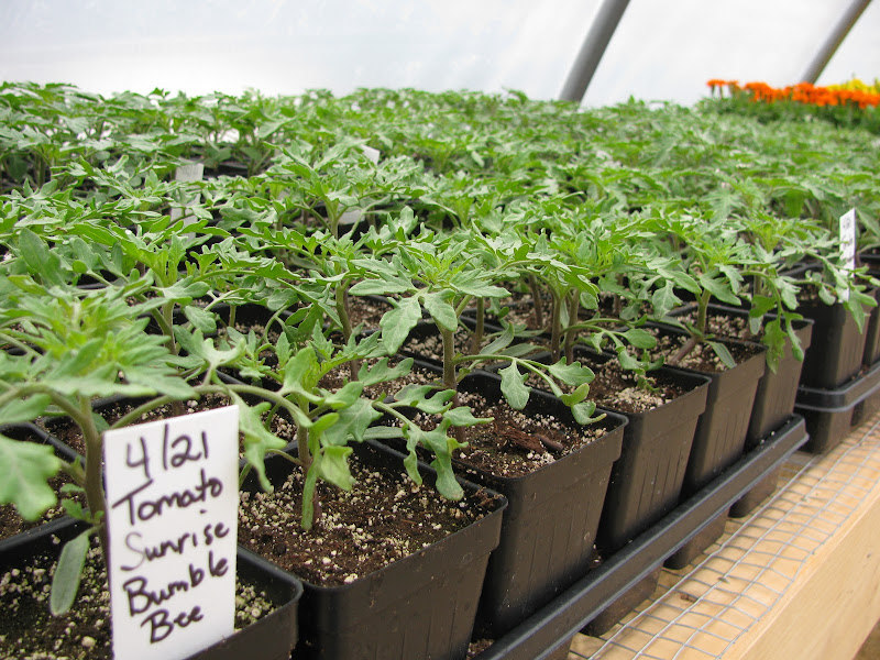 Burr Oak Gardens, LLC