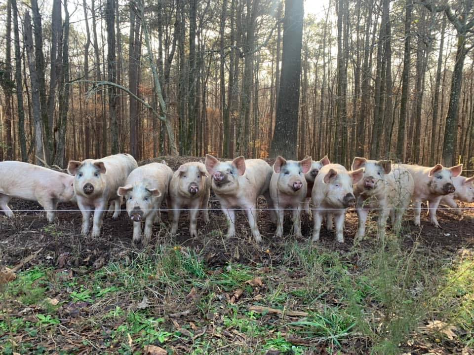Ray Rauton Farms