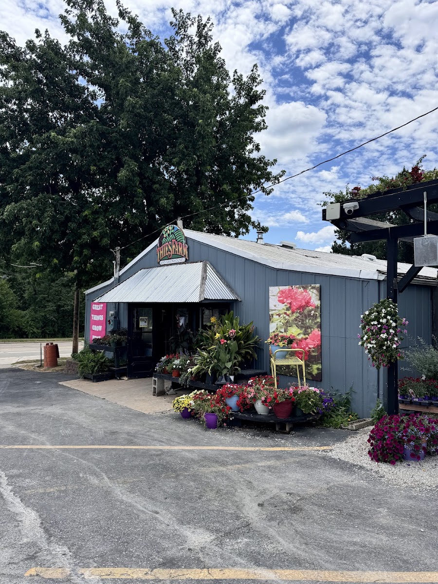 Thies Farm & Greenhouses, Inc photo 2