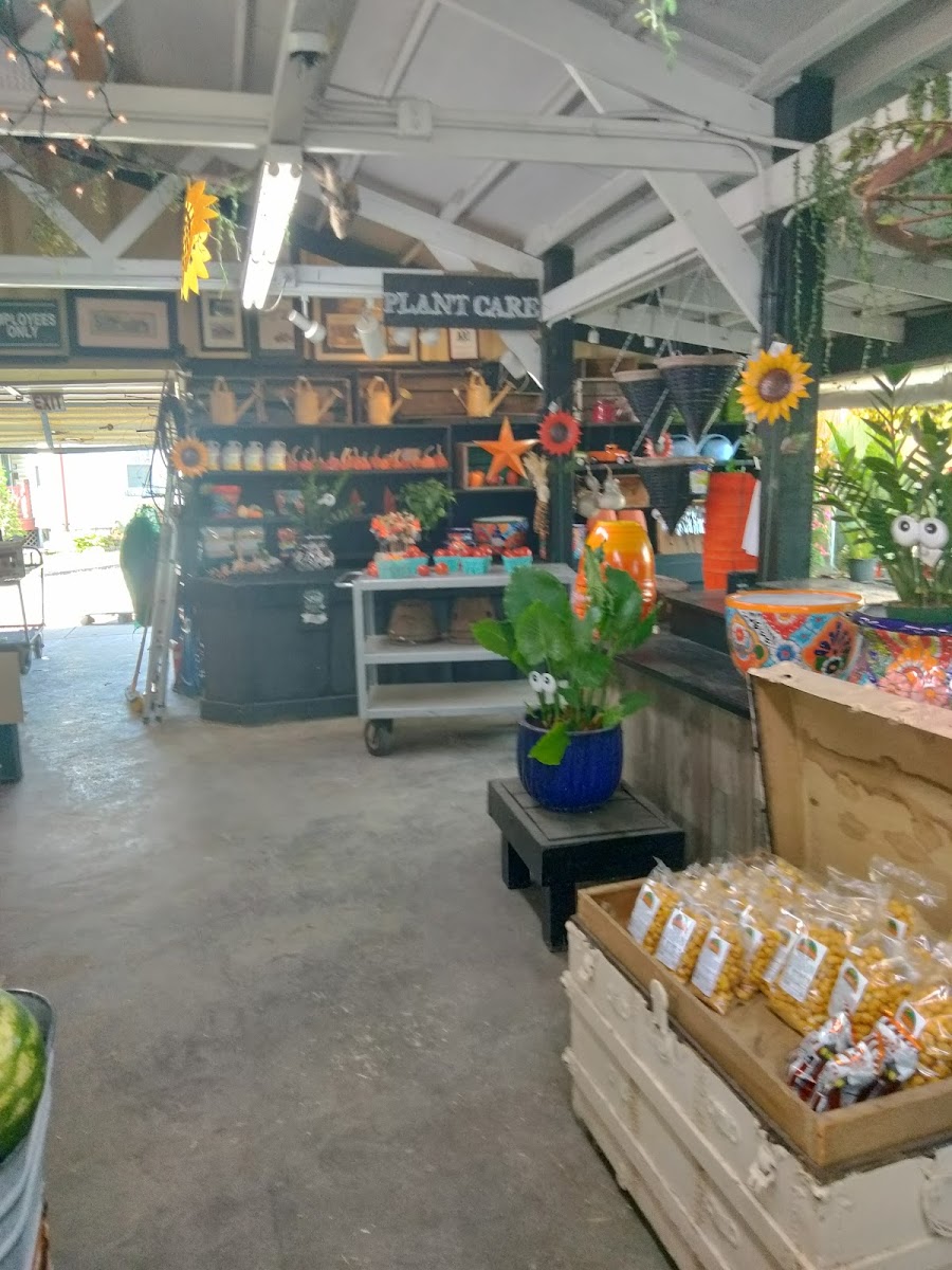 Thies Farm & Greenhouses, Inc photo 3