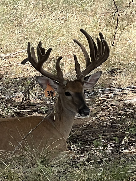 Hoover Ranch photo 2