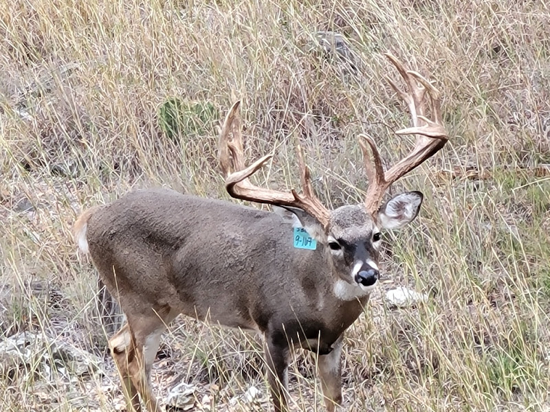 Hoover Ranch photo 3