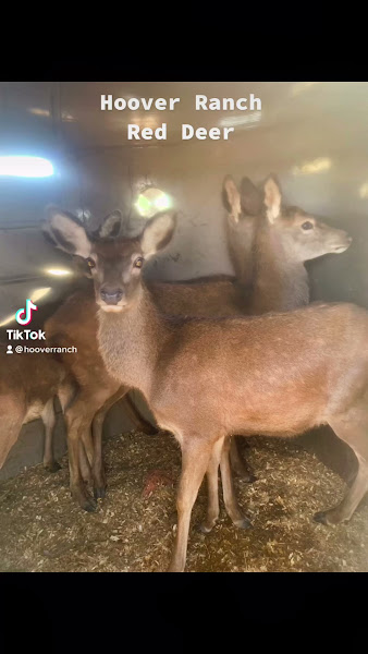 Hoover Ranch photo 4